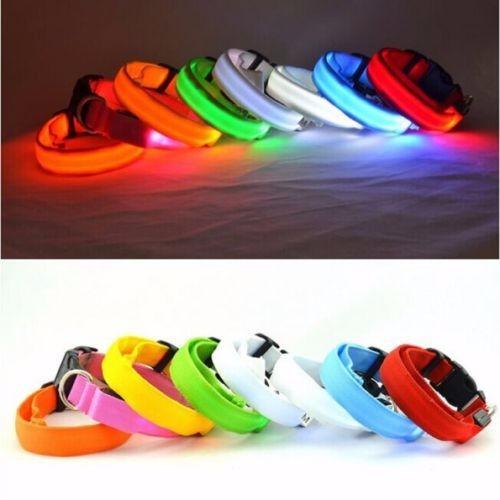 Premium Glow-In-The-Dark LED Safety Collar